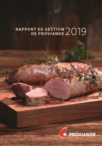 Rapport de gestion 2019