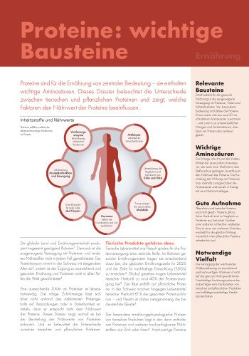 Dossier Proteine: wichtige Bausteine