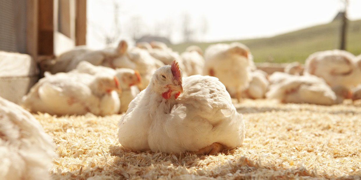 Teaser Kennzahlen Bund