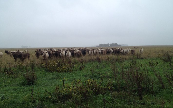 Freihandelsabkommen Hero