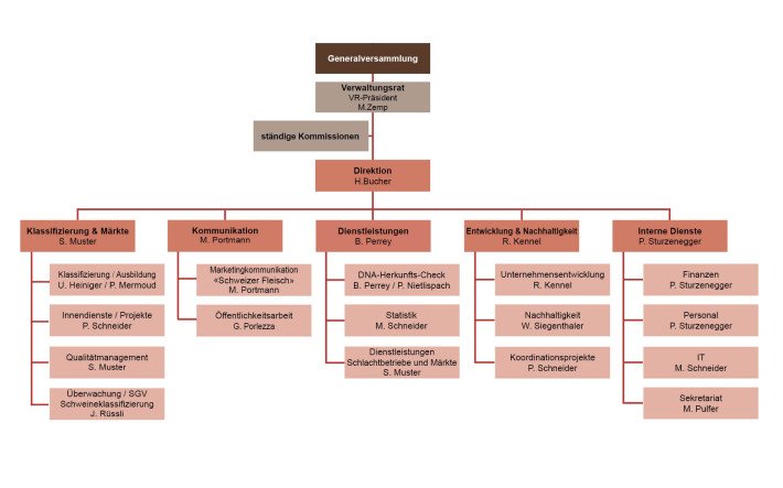 Organigramm
