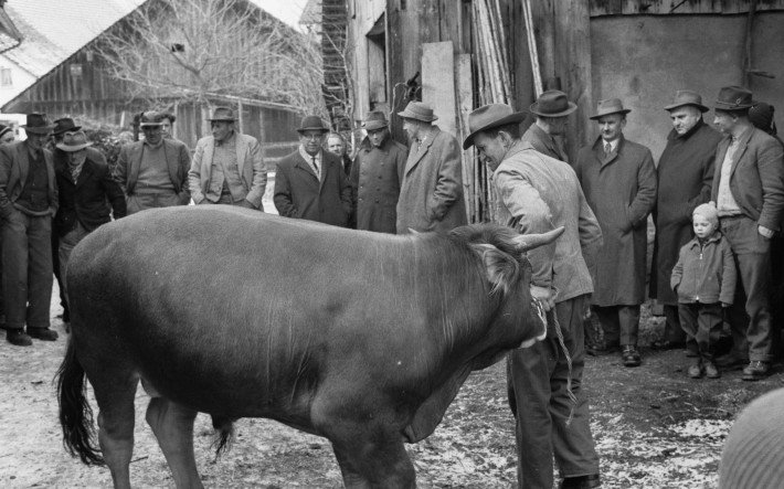 1962 Vieh- und Fahrhabe-Gant Kloten ZH , ETH-Bibliothek Zürich, Bildarchiv Fotograf Comet Photo AG.jpg