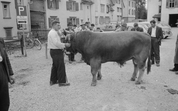1963 Viehmarkt Appenzell , ETH-Bibliothek Zürich, Bildarchiv Fotograf Gerber, Hans (3).jpg