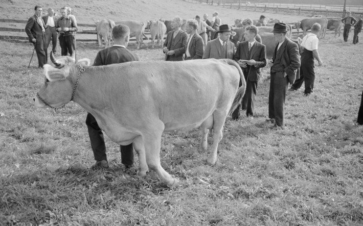 1963 Viehmarkt Appenzell , ETH-Bibliothek Zürich, Bildarchiv Fotograf Gerber, Hans (4).jpg