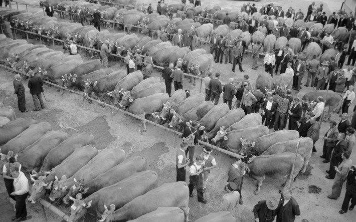 1963 Viehmarkt Appenzell , ETH-Bibliothek Zürich, Bildarchiv Fotograf Gerber, Hans.jpeg