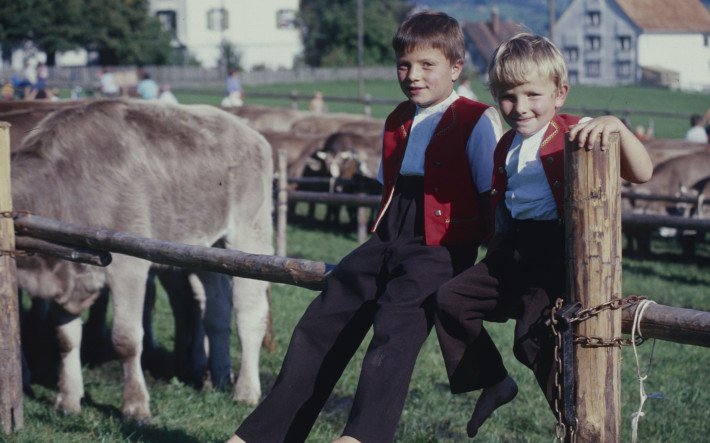1978 Viehmarkt Speicher AR , ETH-Bibliothek Zürich, Bildarchiv Fotograf Krebs, Hans (2).jpg