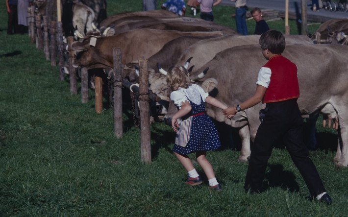 1978 Viehmarkt Speicher AR , ETH-Bibliothek Zürich, Bildarchiv Fotograf Krebs, Hans (3).jpg