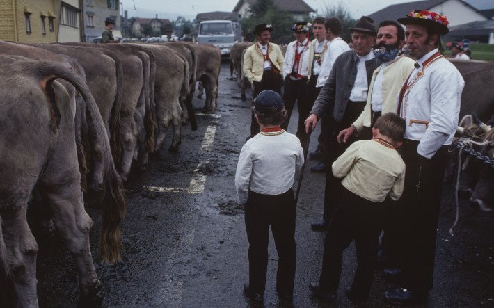 1978 Viehmarkt Speicher AR , ETH-Bibliothek Zürich, Bildarchiv Fotograf Krebs, Hans (5).jpg