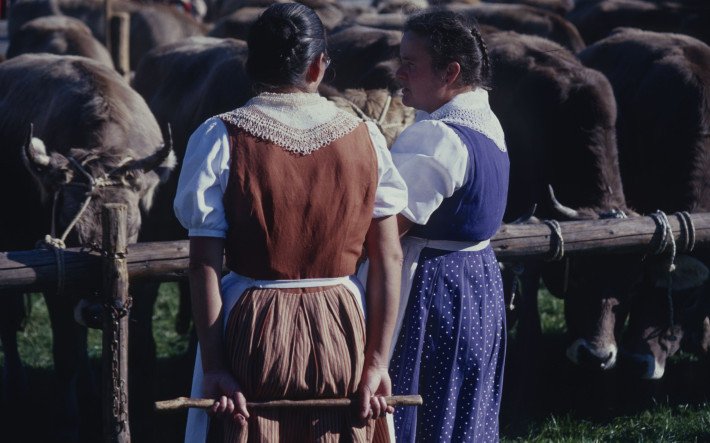 1978 Viehmarkt Speicher AR , ETH-Bibliothek Zürich, Bildarchiv Fotograf Krebs, Hans (6).jpg