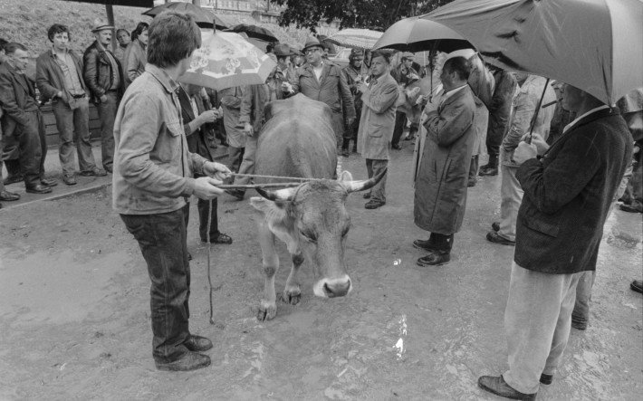 1980 Viehmarkt Ilanz GR , ETH-Bibliothek Zürich, Bildarchiv Fotograf Lüthy, Patrick (3).jpg