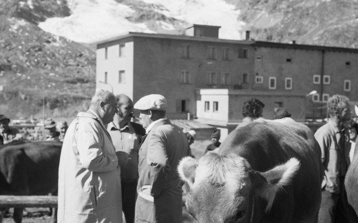 1985 Viehmarkt Bernina-Passhöhe GR , Fotograf Comet Photo AG (1).jpg