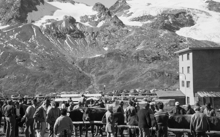 1985 Viehmarkt Bernina-Passhöhe GR , Fotograf Comet Photo AG.jpg