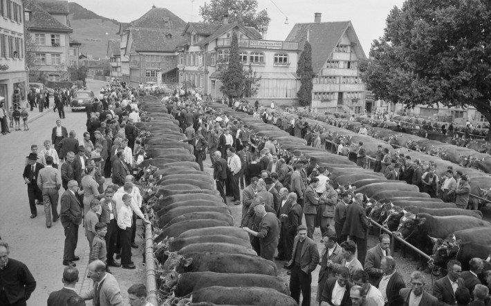 Marché de bétail d'Appenzell.jpg