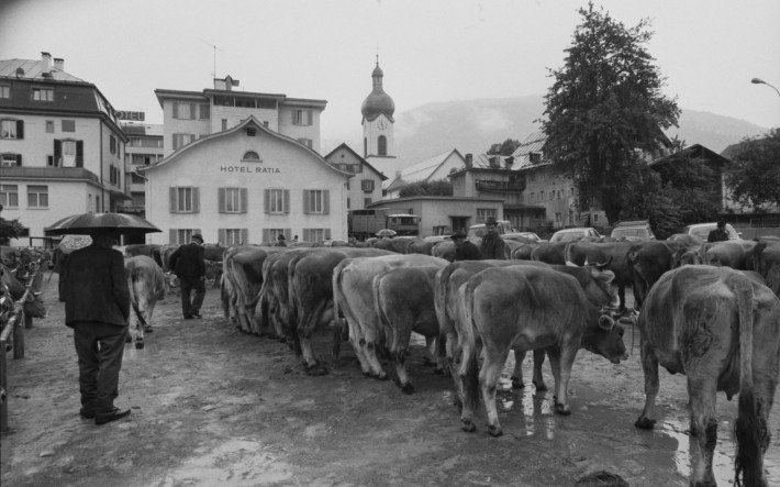 Marché de bétail d'Ilanz.jpg