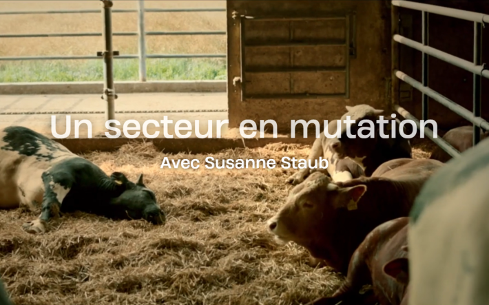 Teaser-Bild_Un secteur en mutation_AUG.png