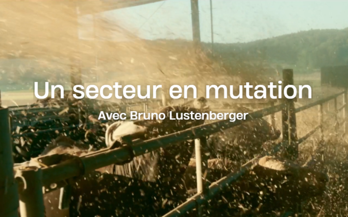 Teaser-Bild_Un secteur en mutation_OKT.png