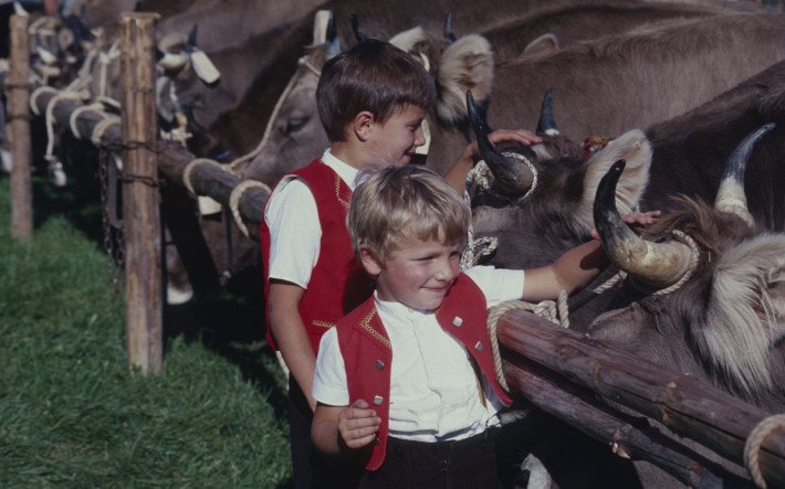 1978 Viehmarkt Speicher AR , ETH-Bibliothek Zürich, Bildarchiv Fotograf Krebs, Hans.jpg