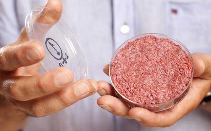 Teaser-Bild Laborfleisch.jpg