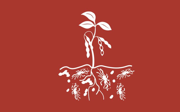 Icons_Bodenfruchtbarkeit 2400px.jpg