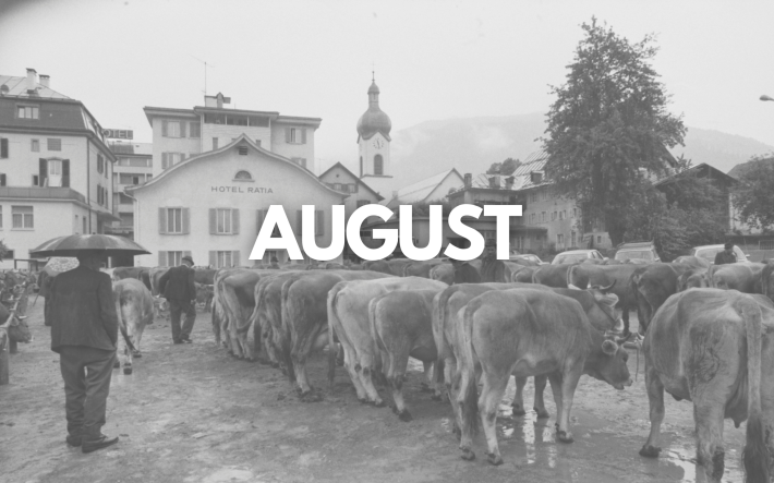 Teaser-Bild August_DE.png