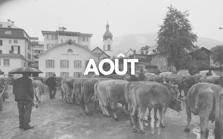 Teaser-Bild August_FR.png