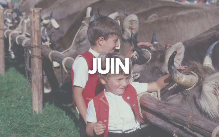 Teaser-Bild Juin_FR.png