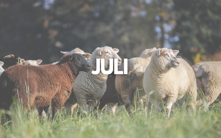 Teaser-Bild Juli_DE.png