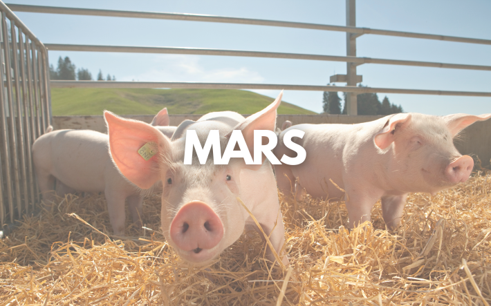 Teaser-Bild März_FR.png