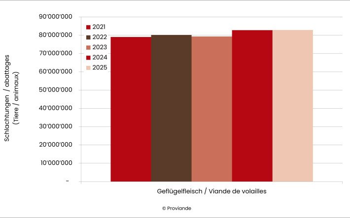 Anzahl Schlachtungen Geflügel 2021 bis 2025