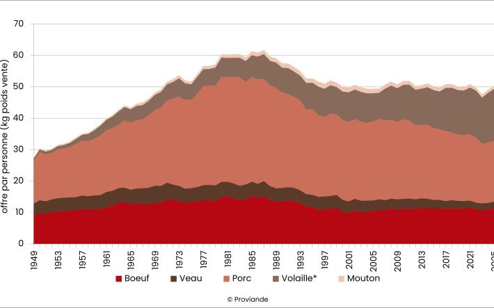 Évolution de l'offre par personne depuis 1949