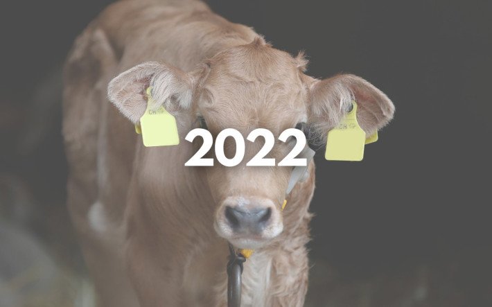 Teaser-Bild MMI 2022.jpg