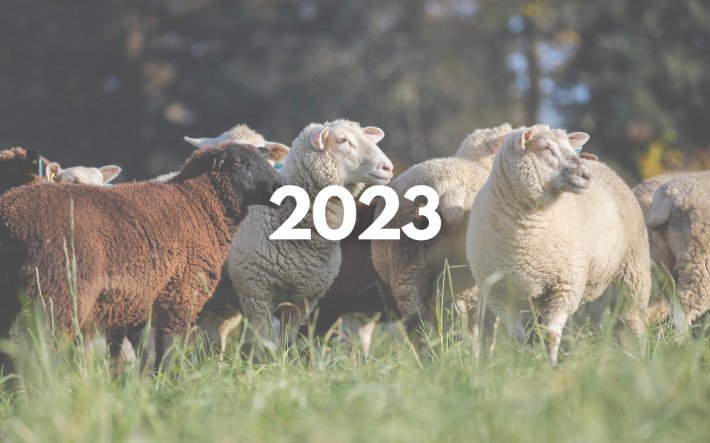 Teaser-Bild MMI 2023.jpg