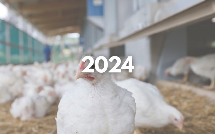 Teaser-Bild MMI 2024.jpg