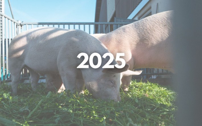 Teaser-Bild MMI 2025.jpg