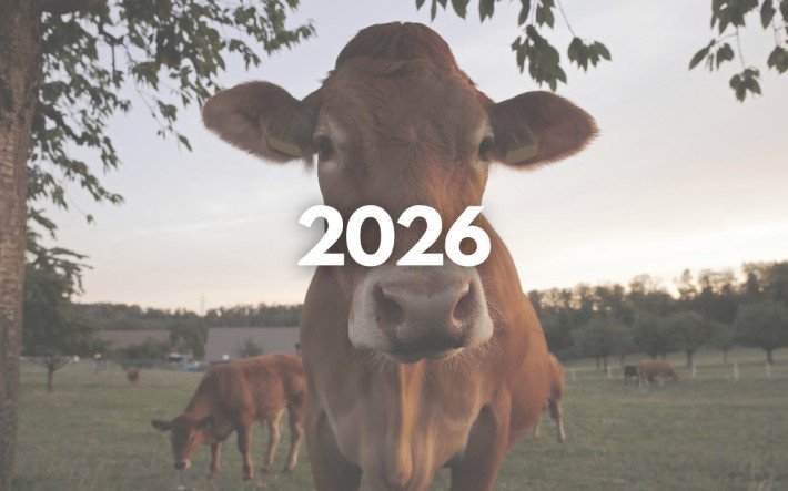 Teaser-Bild MMI 2026.jpg