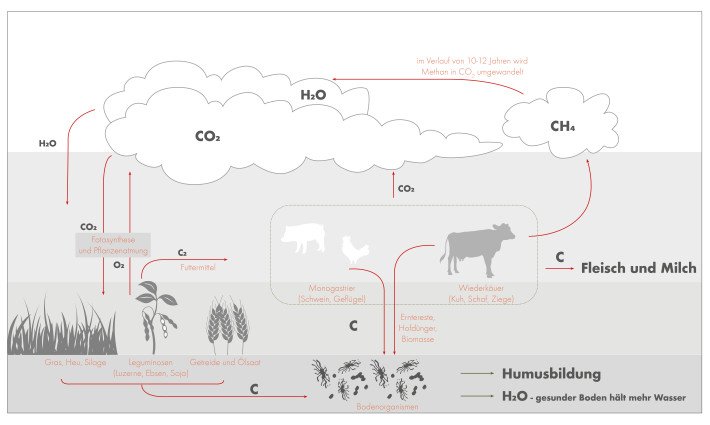 Grafik_CO2_Kreislauf_DE.jpg