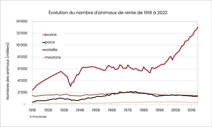 Évolution du troupeau d'animaux de rente