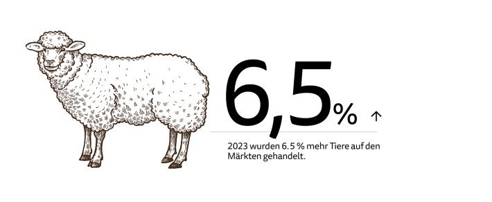 Inhaltsbild Klassifizierung & Märkte